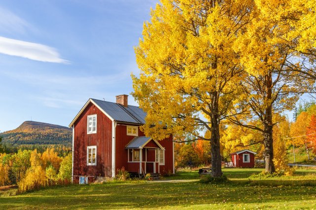 Local Tips and Tricks for Exploring Top-Rated Fall Foliage Locations